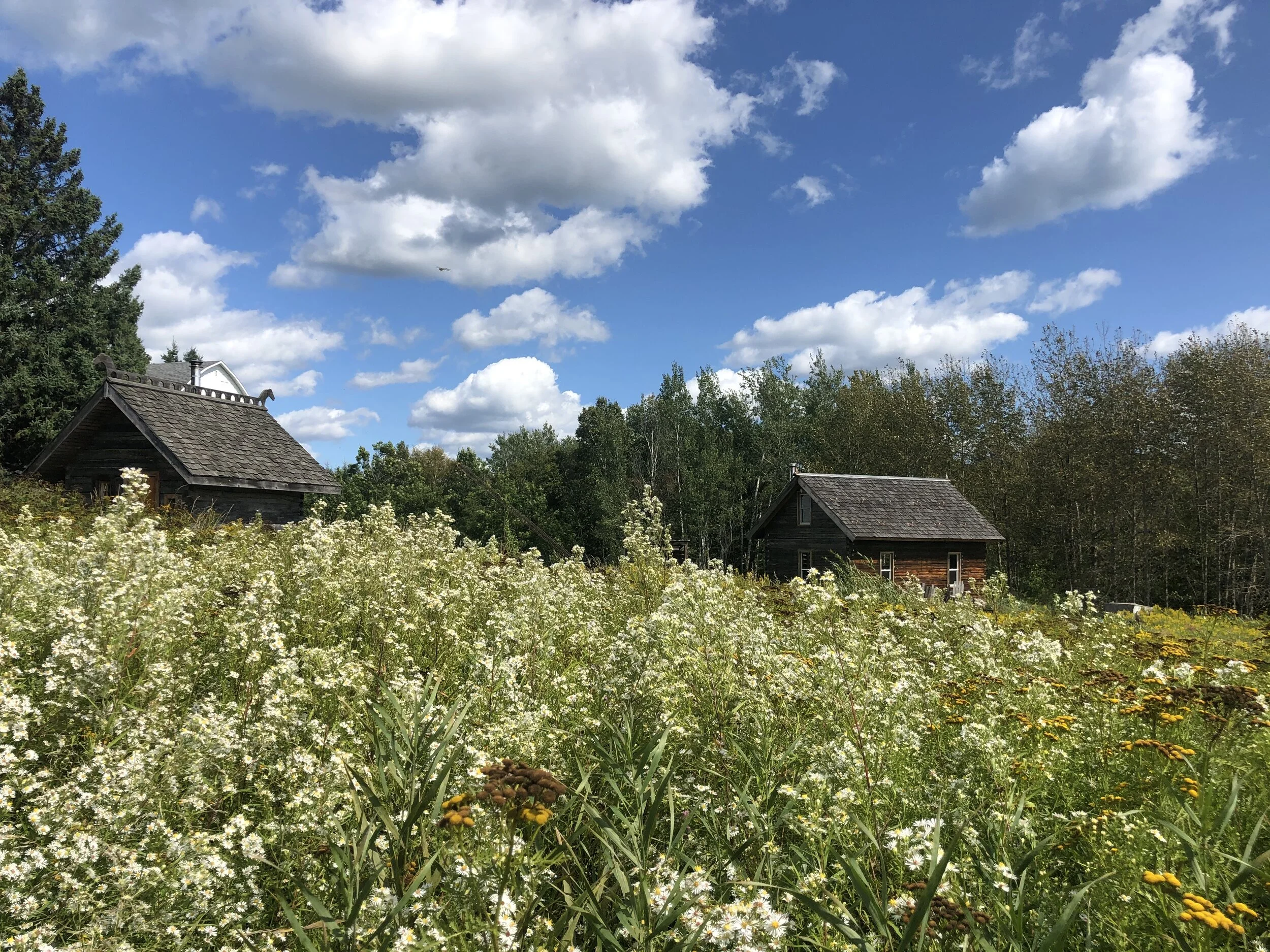 On Being: Restorative Weekend