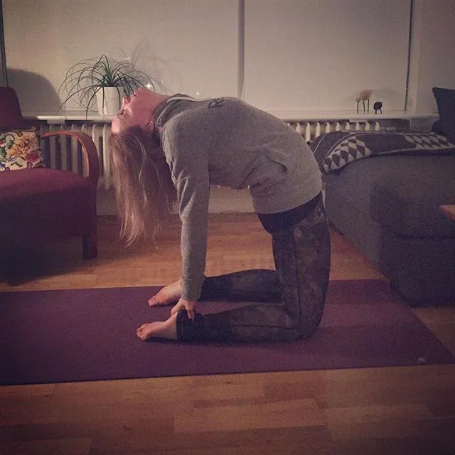 Dagur 6 í yogaáskorun - camel 🐪#soliryogaaskorun2017 #day6 #ustrasana #yoga