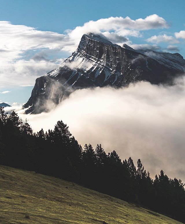 Banff National Park was out of its mind this morning. Rolling clouds and fog from last nights rain, vibrant skies, animals everywhere. This place is just magic. 
#sonyalpha #sonyimages #landscapehunter #earthporn#exploretocreate #roamtheplanet #justg