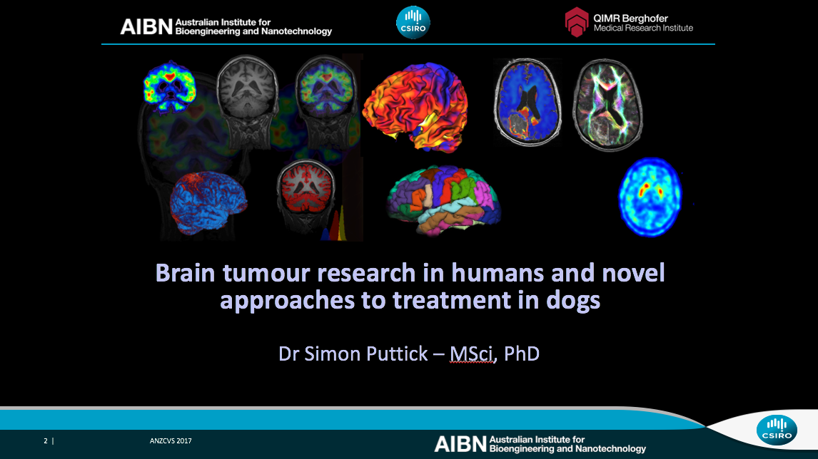 Dr Simon Puttick's presentation on brain tumour research was well recieved.