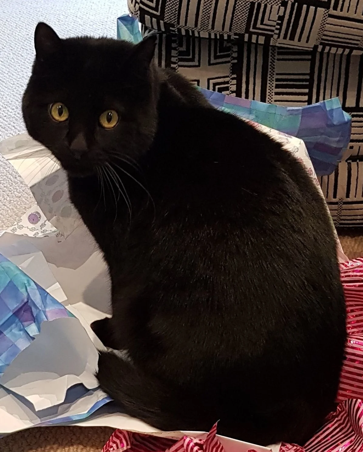 2017-08-29 - Phoebe's birthday at home, Jack likes wrapping paper.23-2 copy 2.jpg