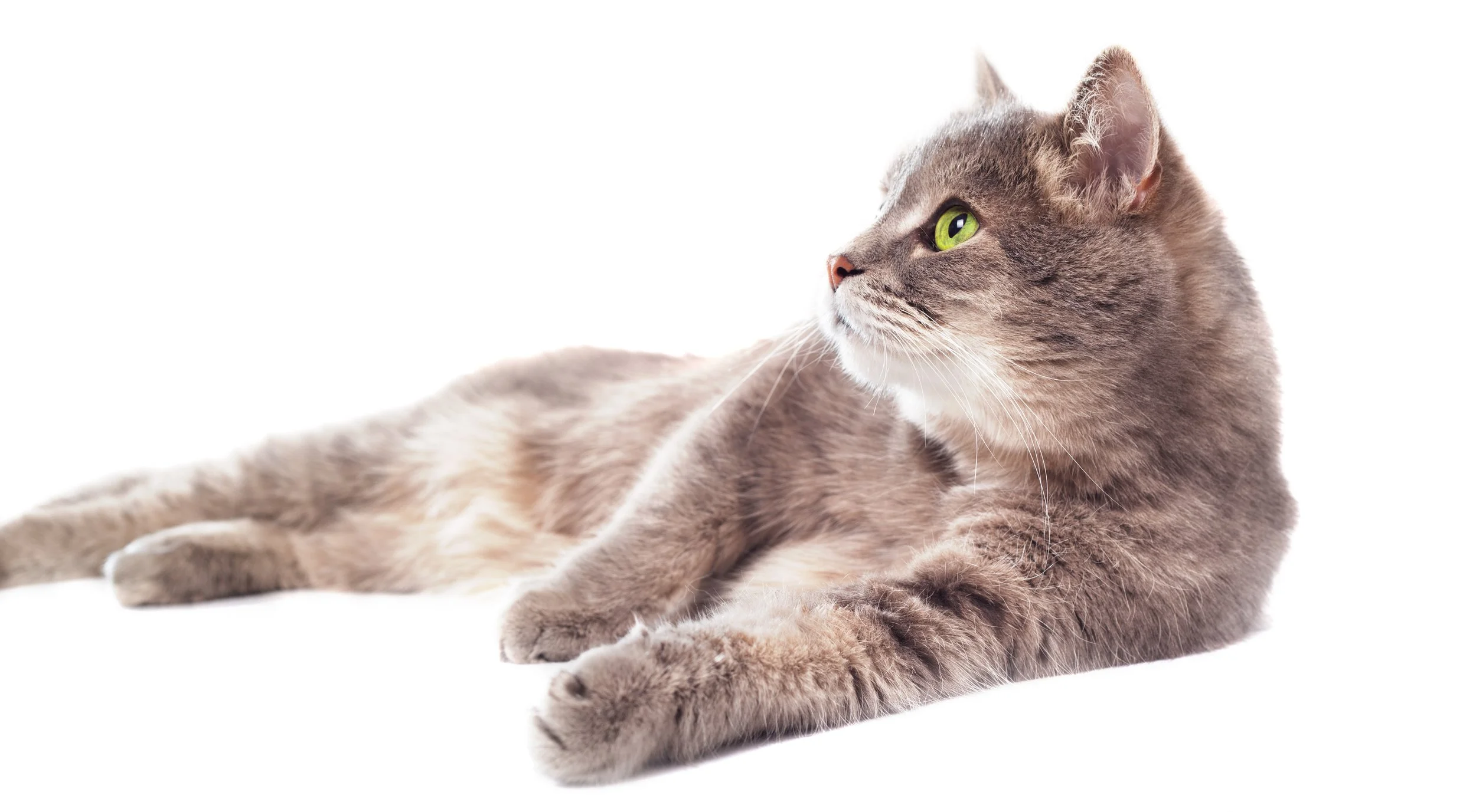 AdobeStock_131986052.jpeg