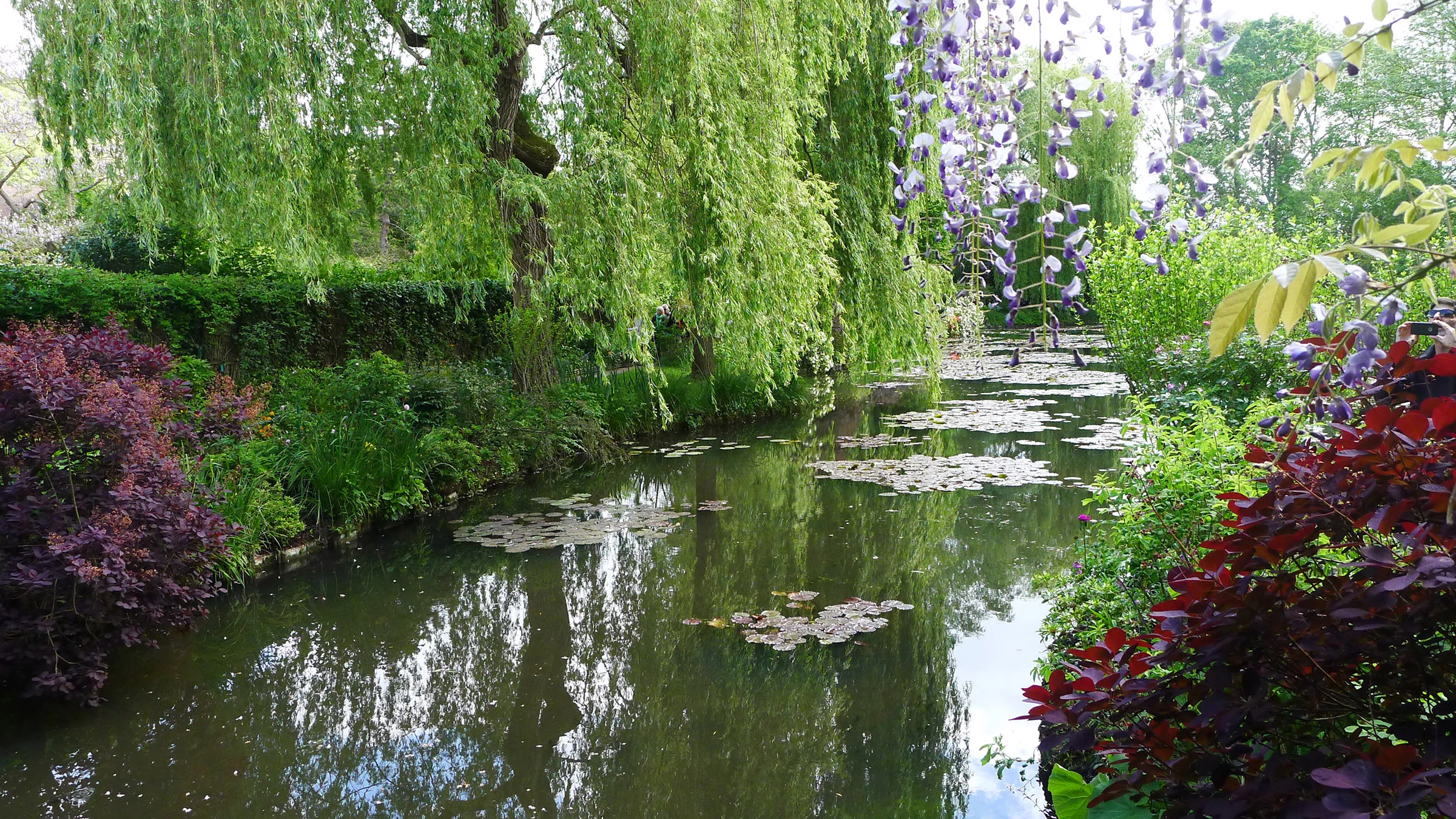 Monet's Garden 1