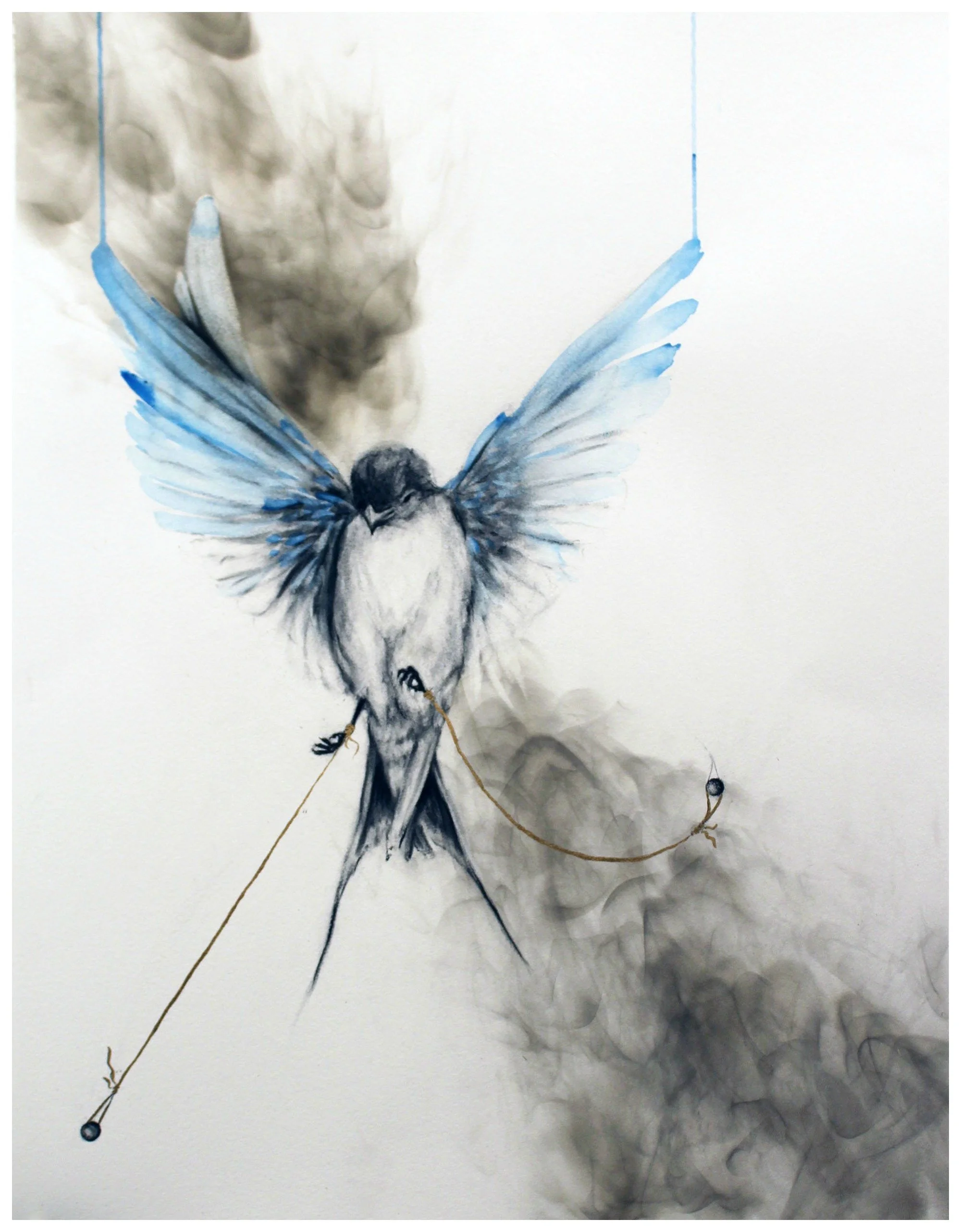 Restraint & Freedom, 2017
