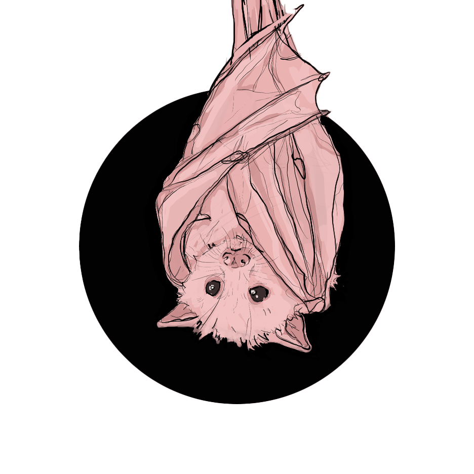 pinkbat.png