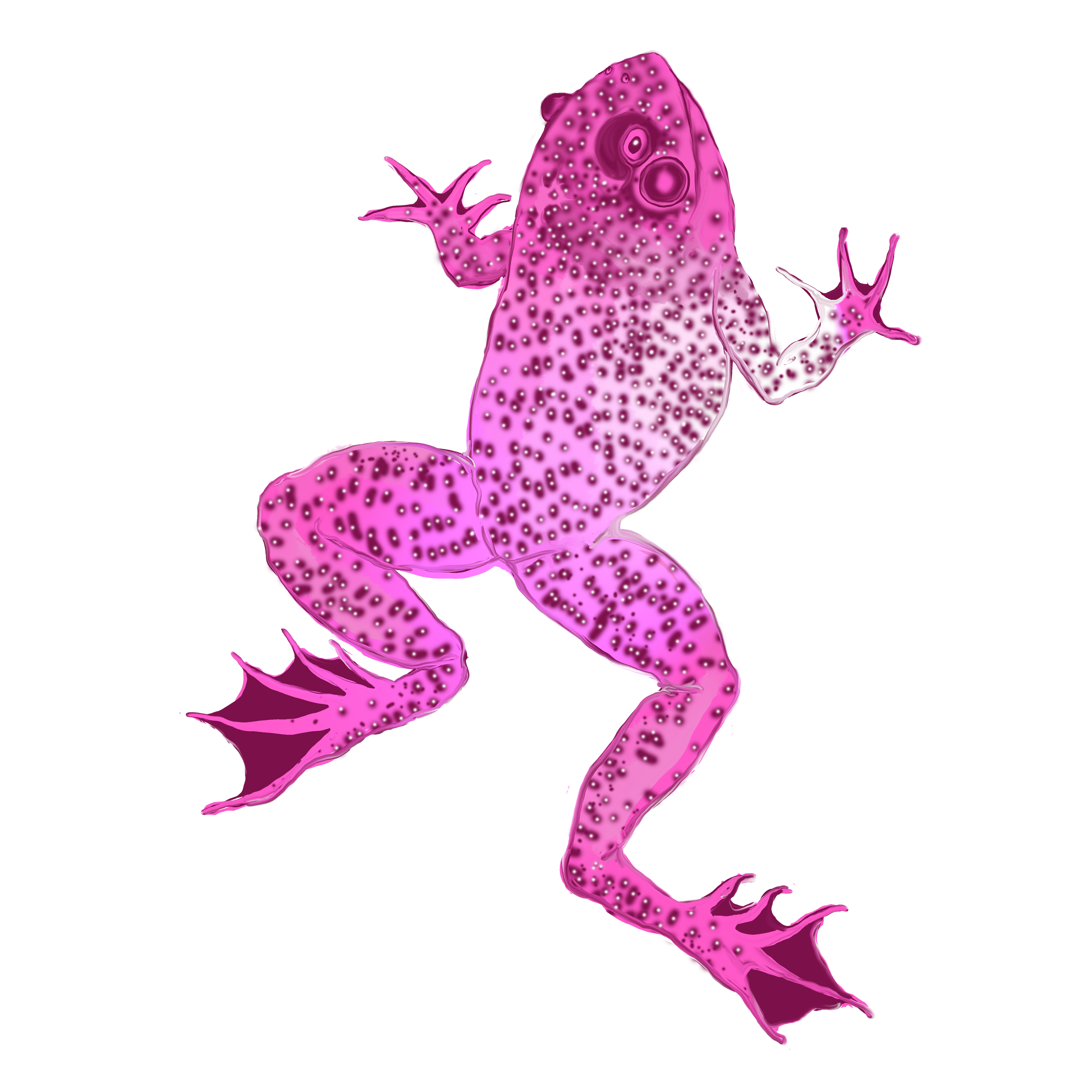 Pink Frog.png