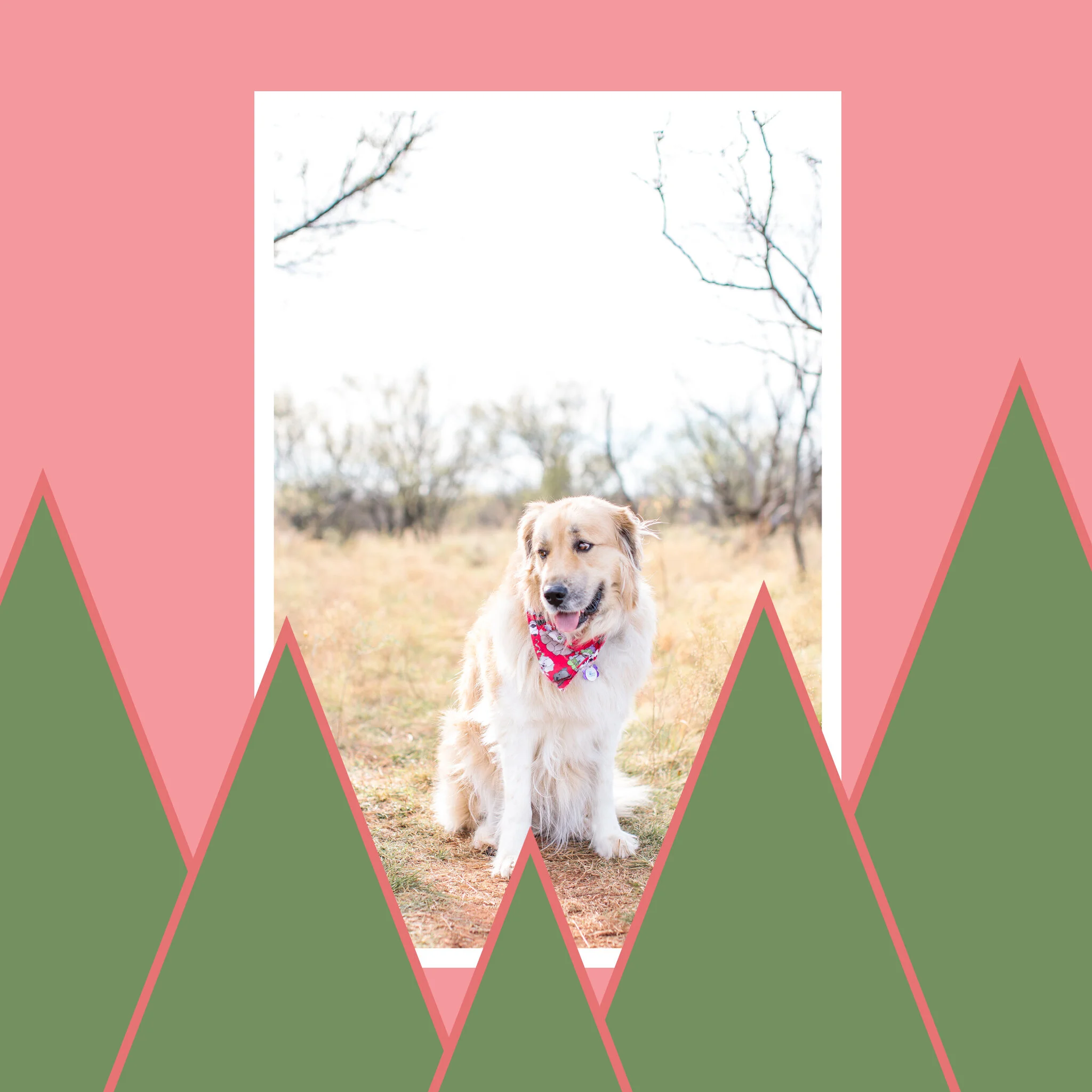 How To Give Your Photos All The Christmas Vibes!