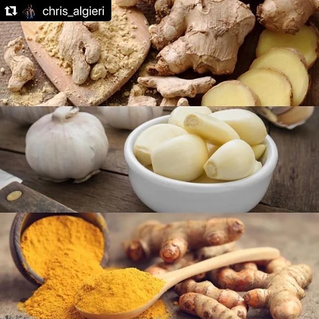 #Repost @chris_algieri with @make_repost
・・・
THREE FOOD INGREDIENTS FOR IMMUNITY!!
-
1) Ginger
The root of the flowering plant, Zinginer officinale, is a herbaceous perennial that has been used for its medicinal properties by countless ancient societ