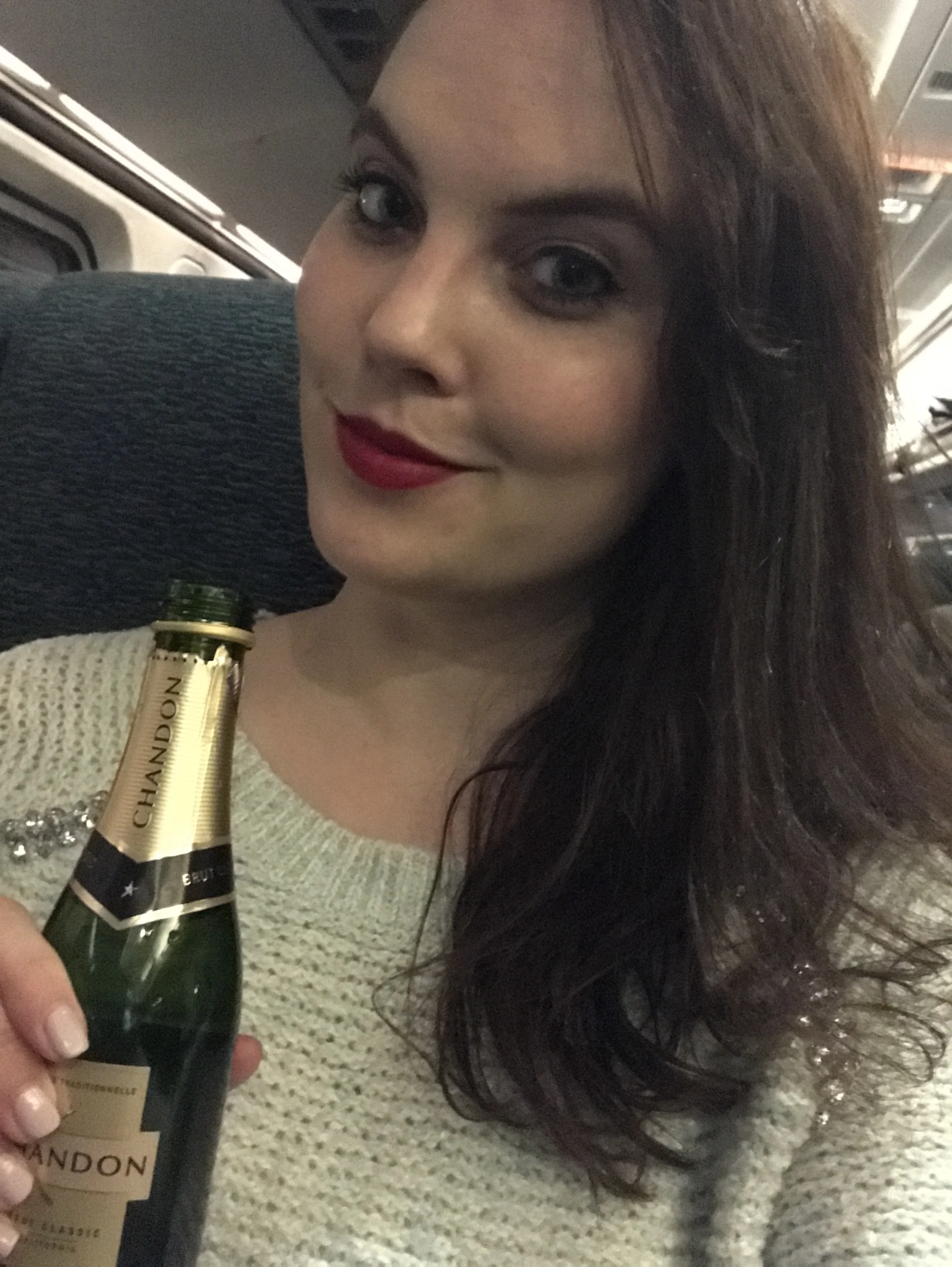 Holiday Travel Checklist