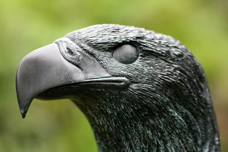 Bronze eagle sculpture