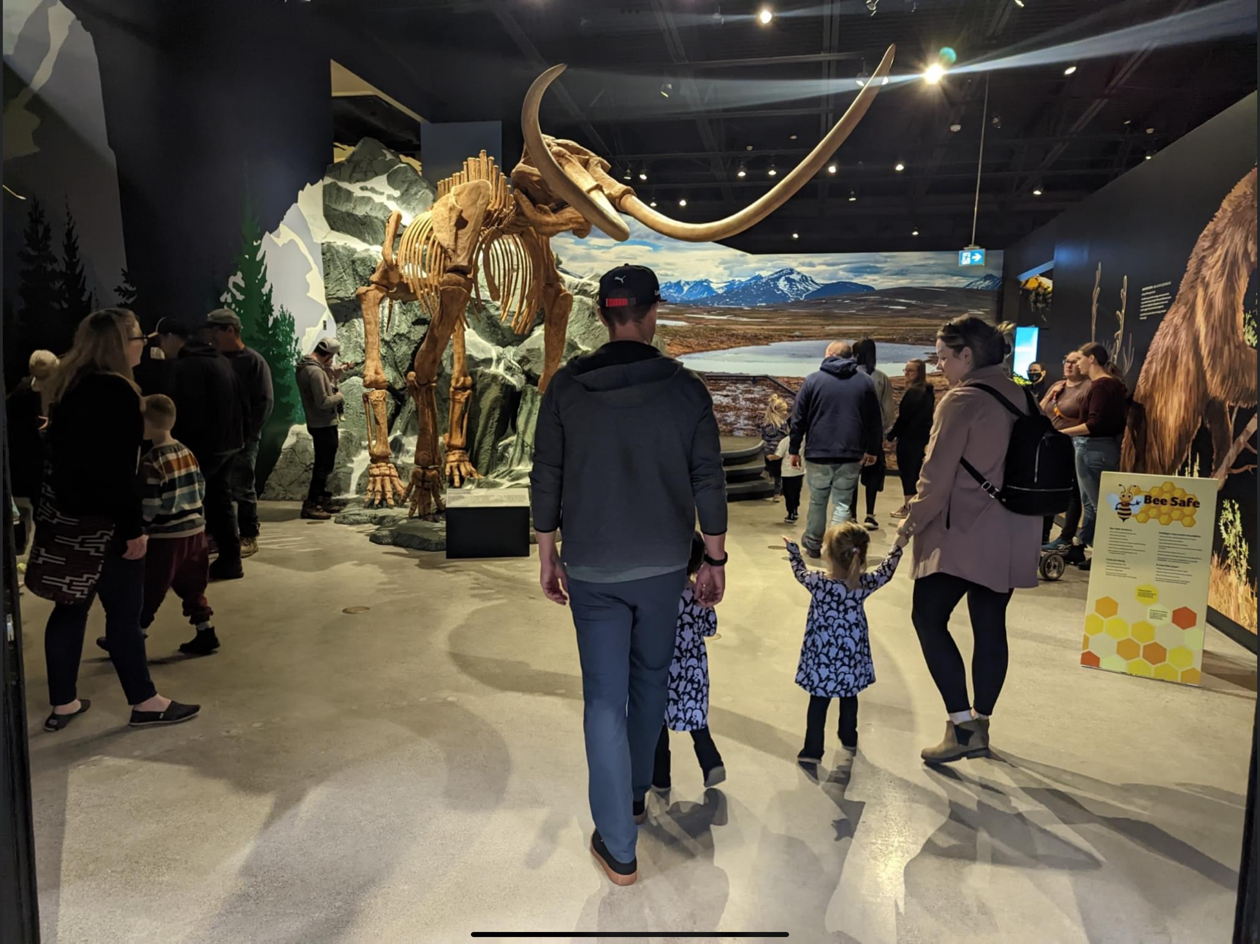 Mastodon ice age exhibit