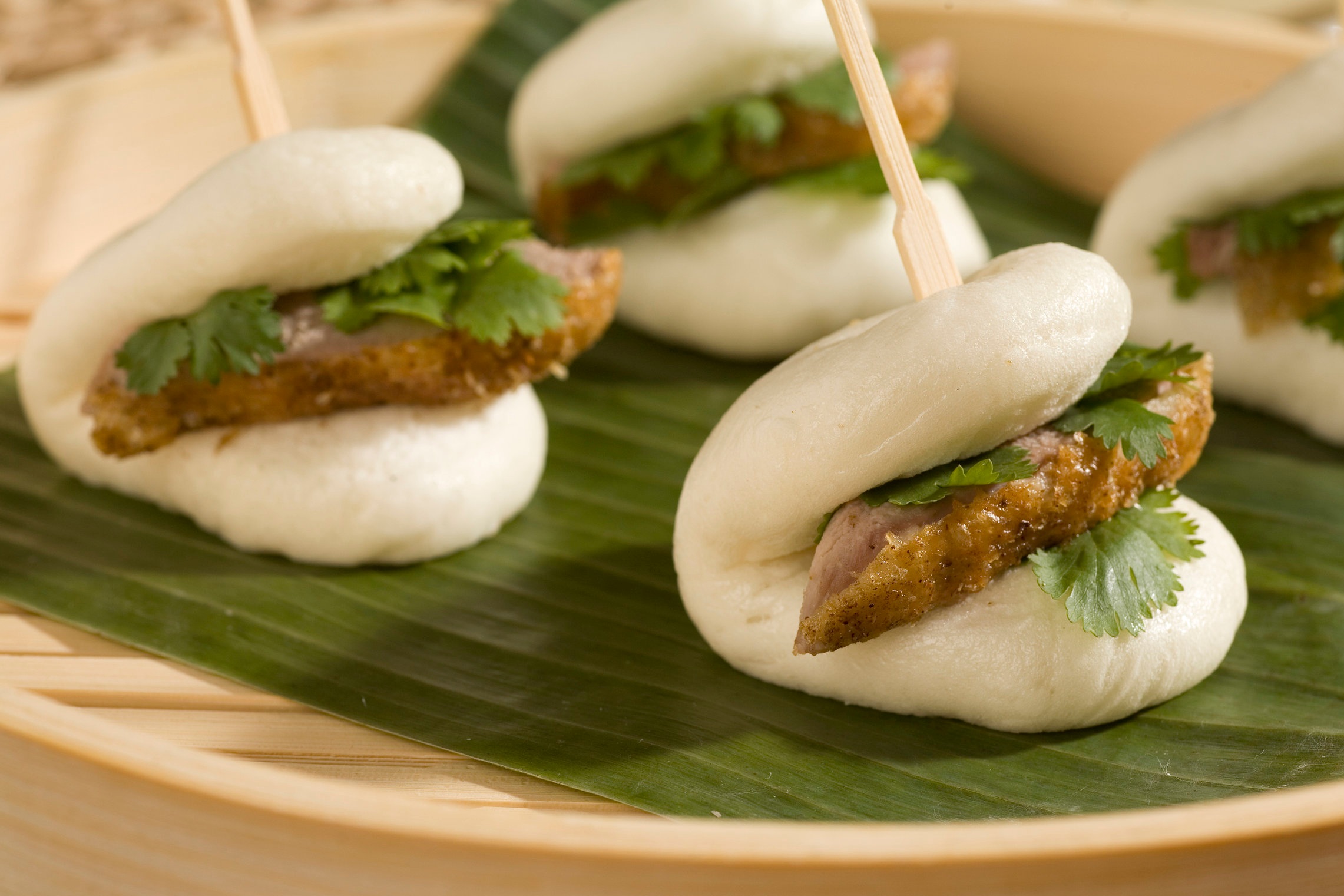duck_sliders.jpg