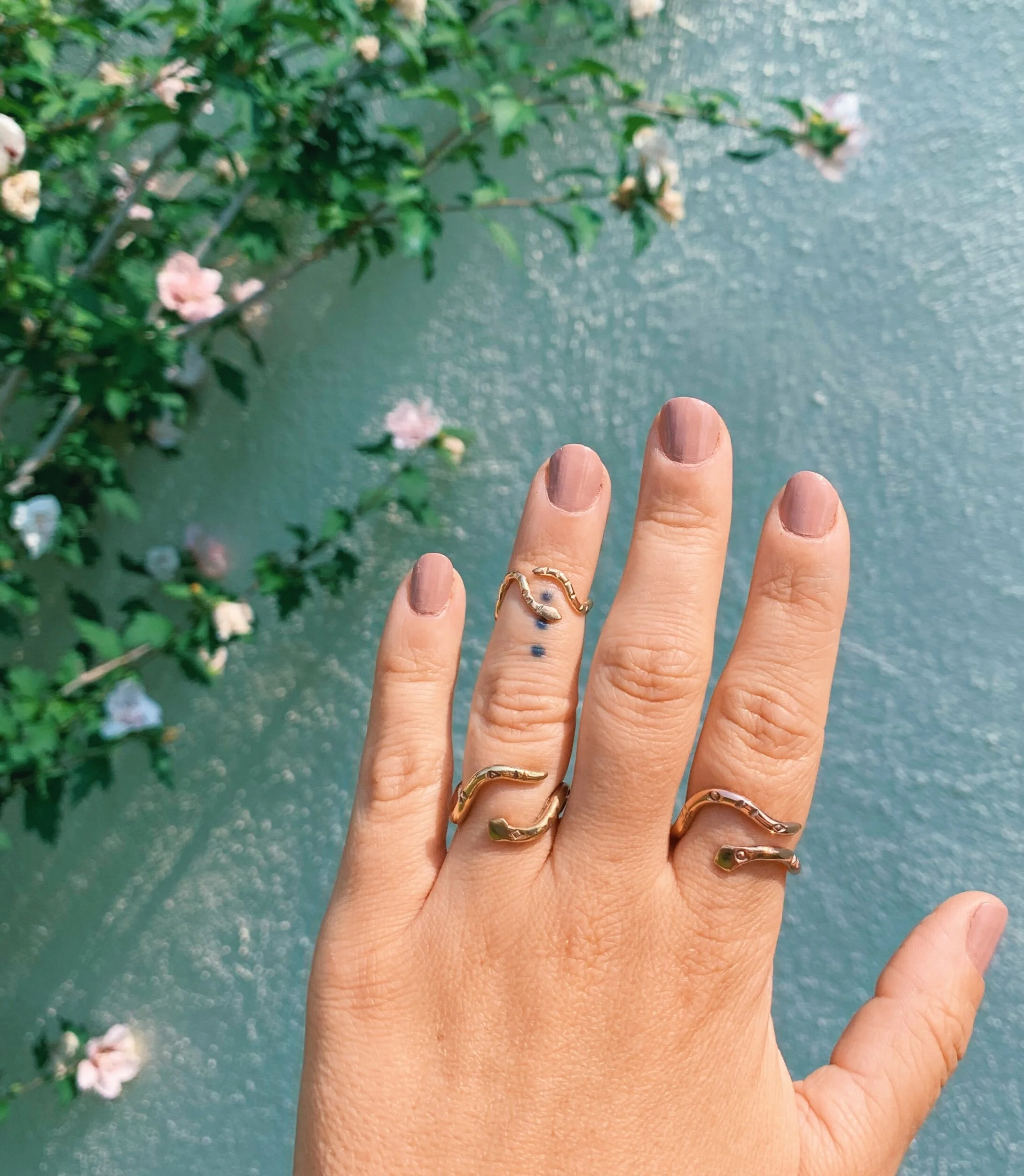 86AAC28C-1B37-455F-A816-3D8300B0744F