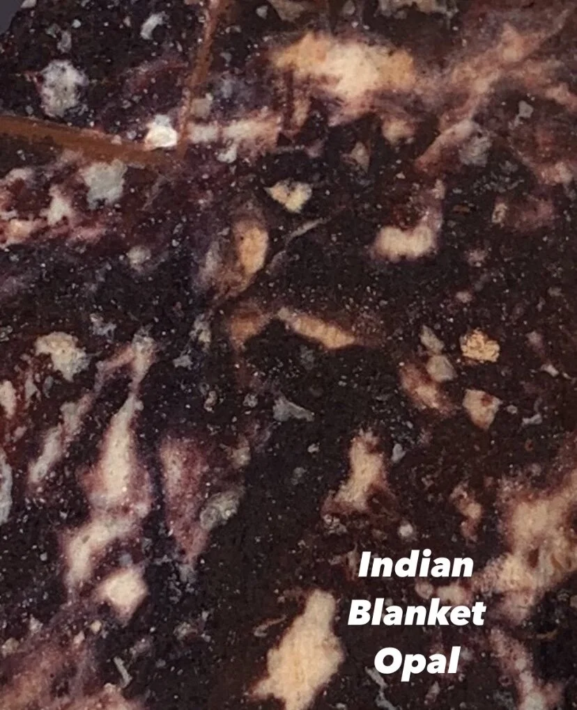 5573F8C9-15F7-40F6-AE94-A95C77BF779A