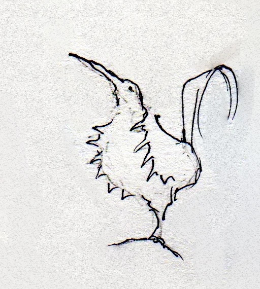 Black Sketch 2015 (51).jpg