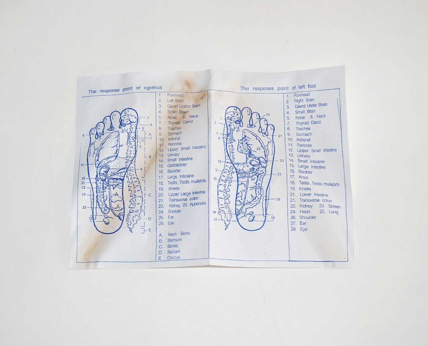 footacupuncture2w.jpg