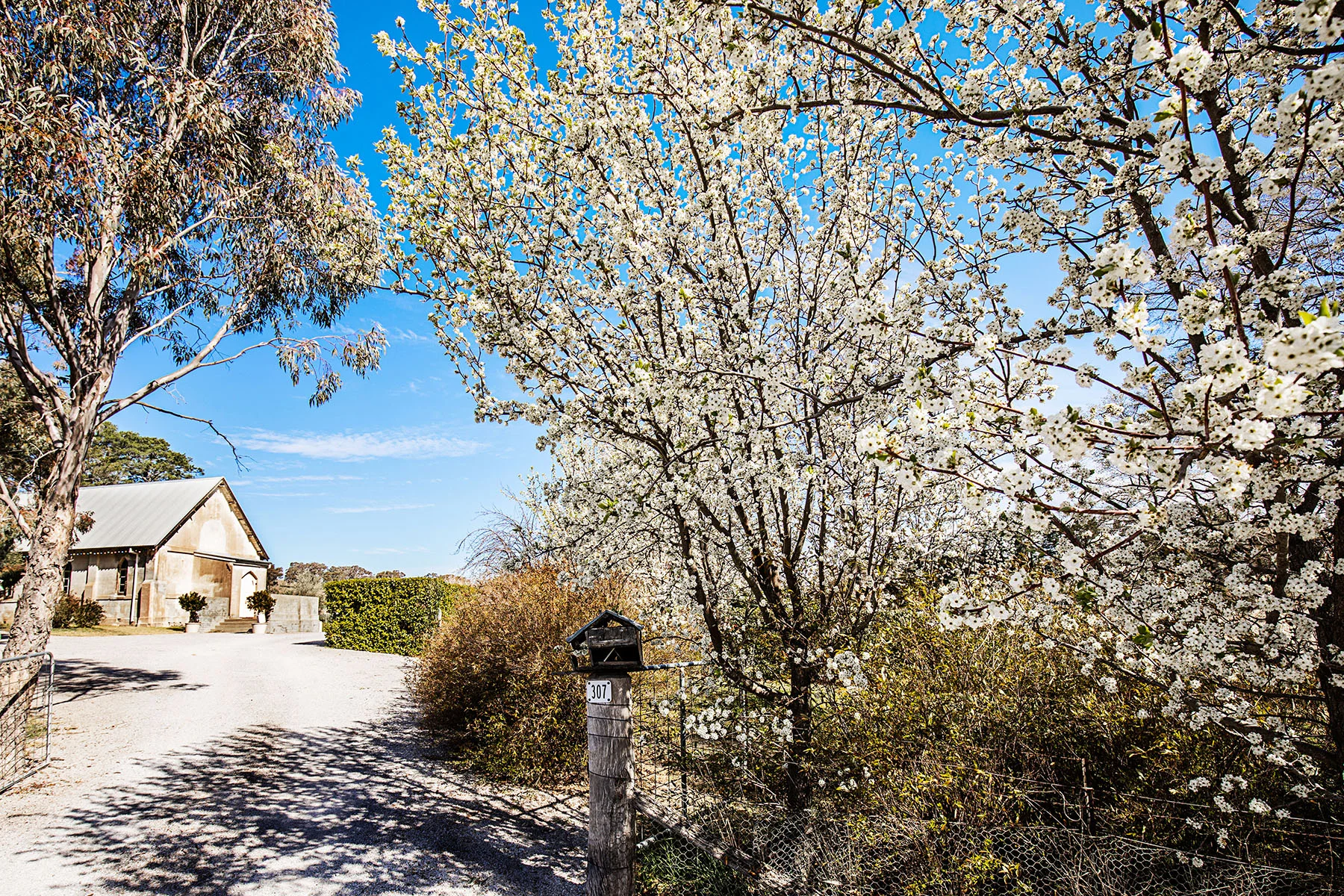  welcome to the old convent! 
