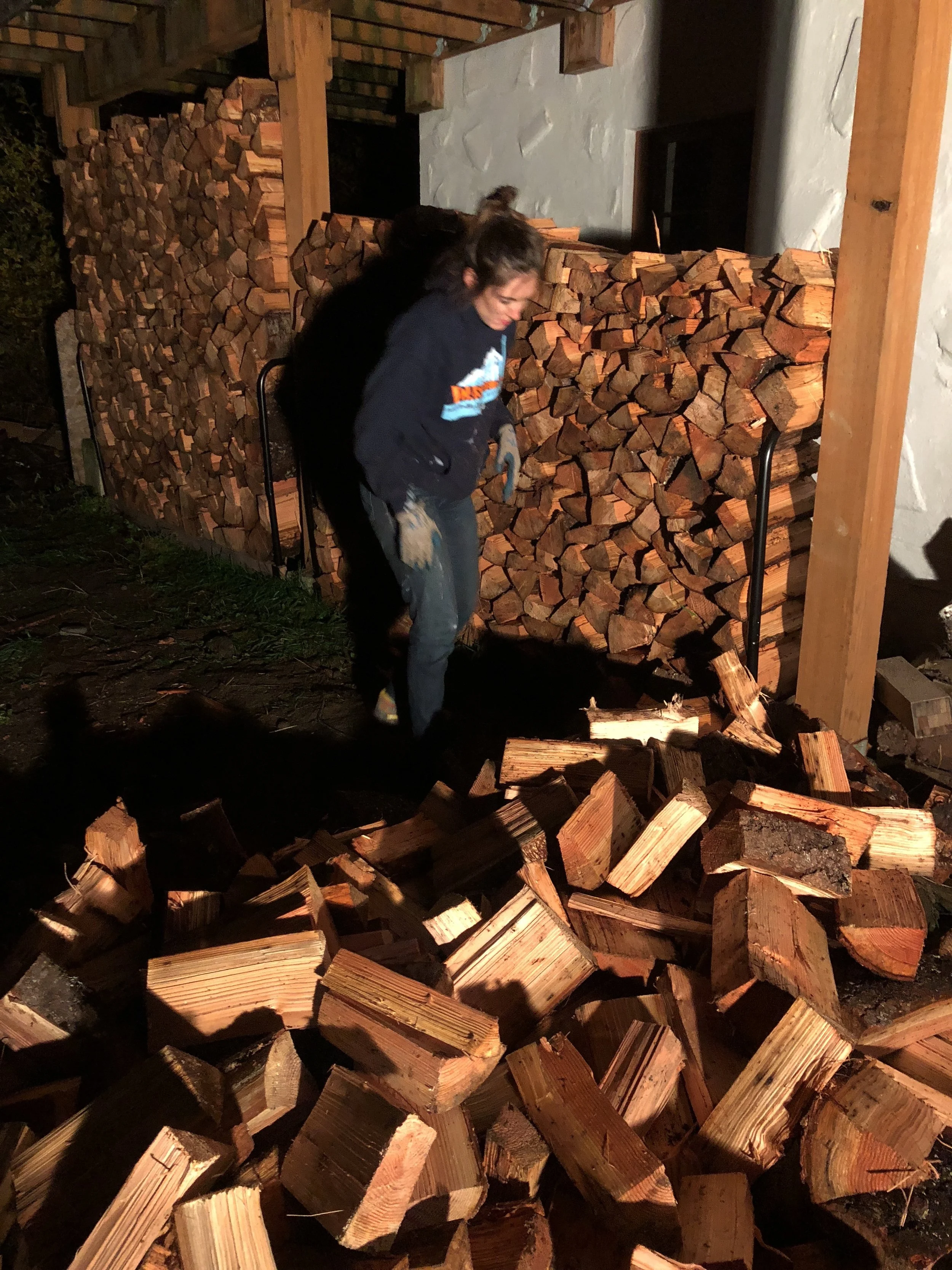 A few cords of wood closer to a warm home this winter!