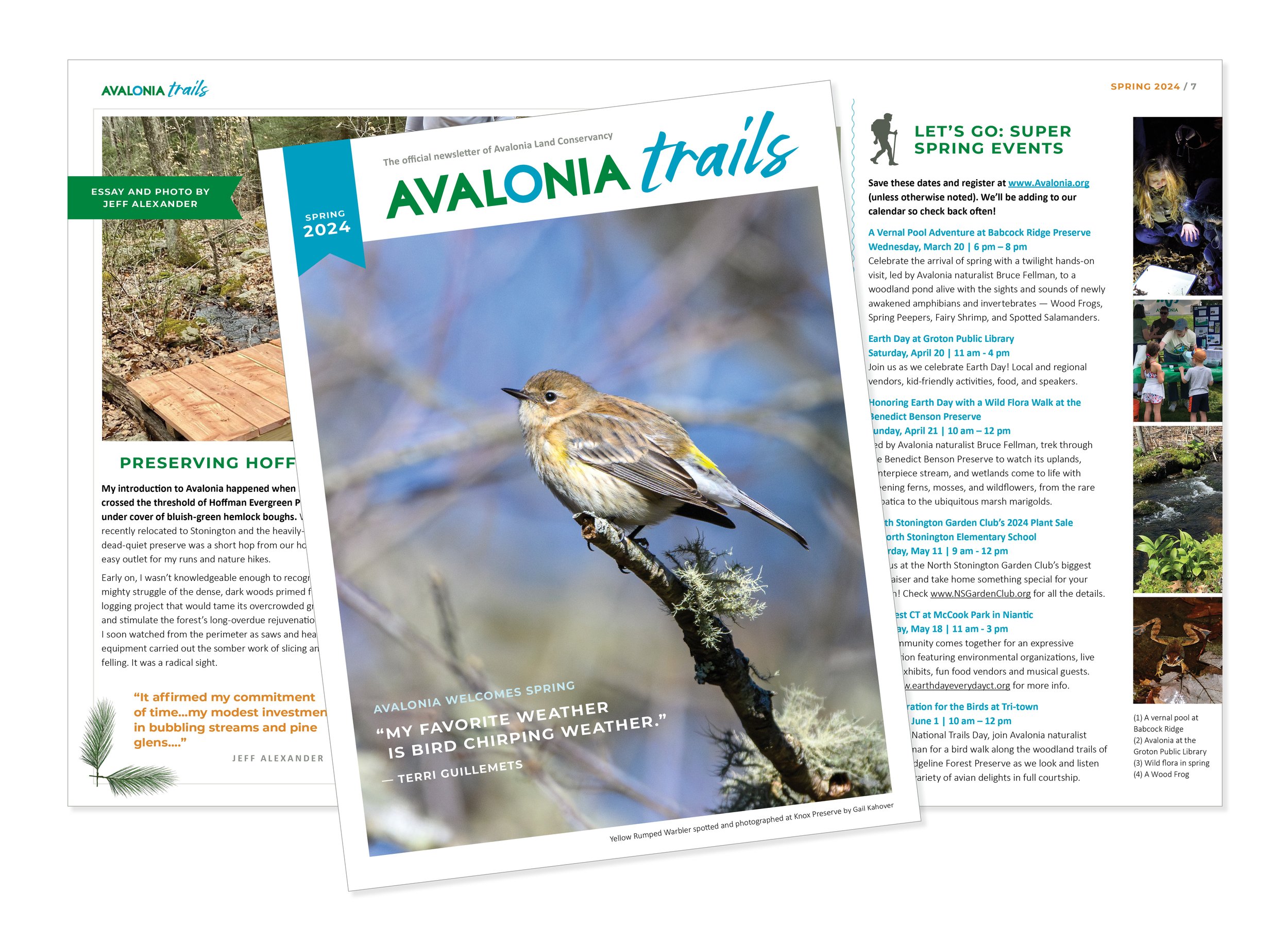 Spring 2024 Avalonia Trails - Rect-Graphic.jpg