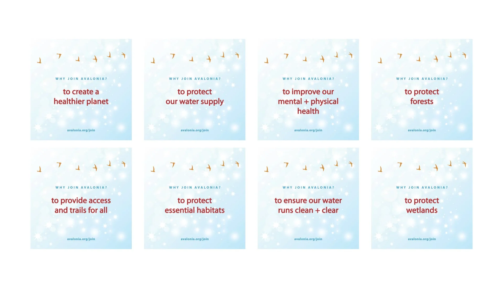 ‎Avalonia Membership Social Campaign.‎001.jpeg