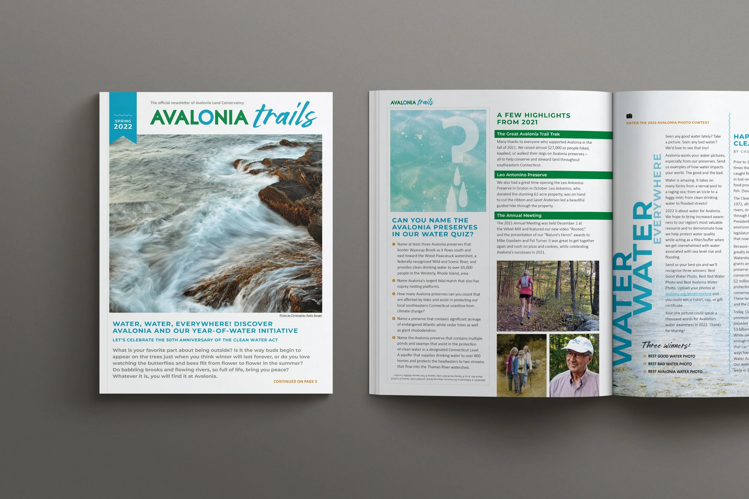 Avalonia Spring Newsletter Scene 03.jpg