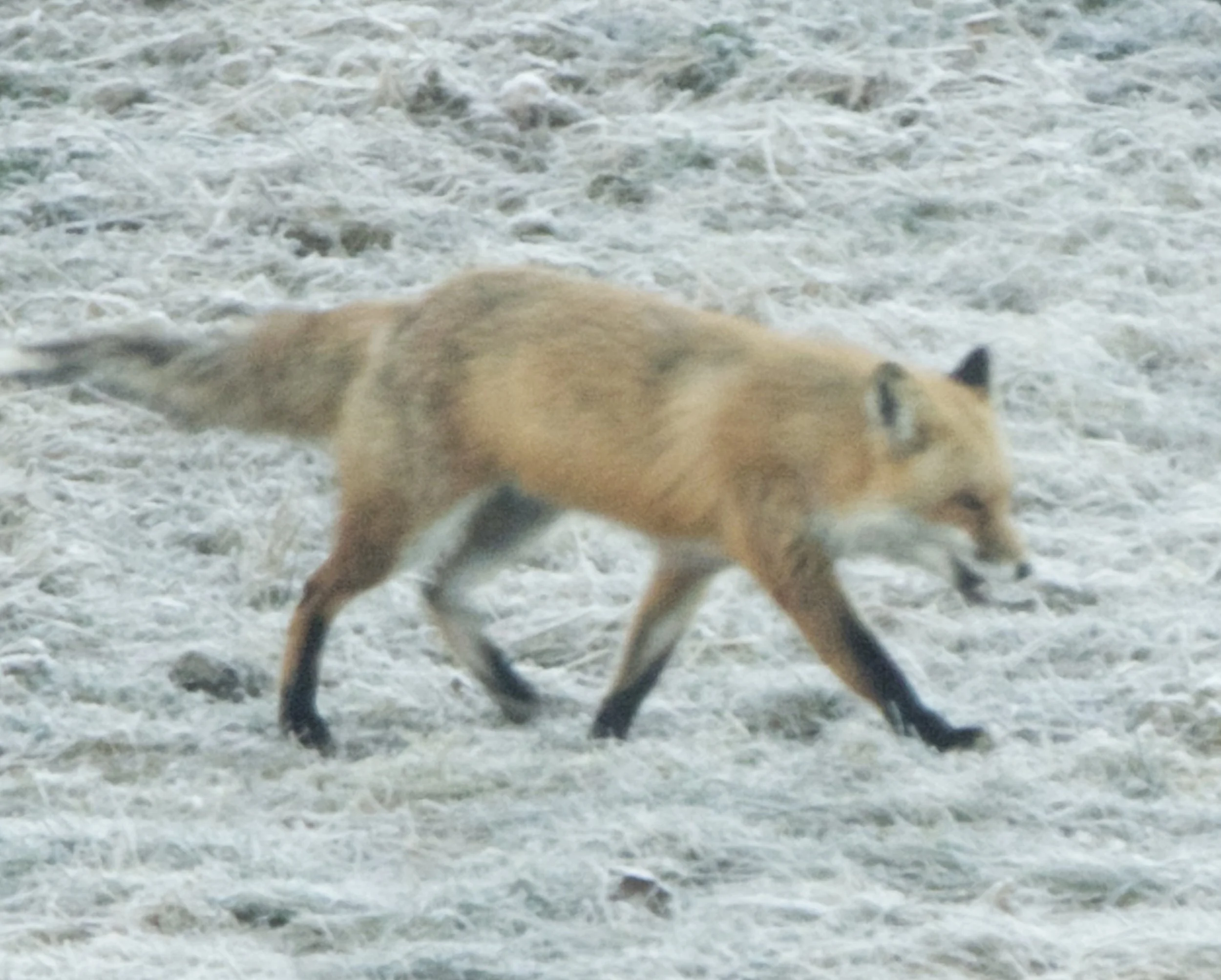 Untitled-1_0001_Layer 4.jpg