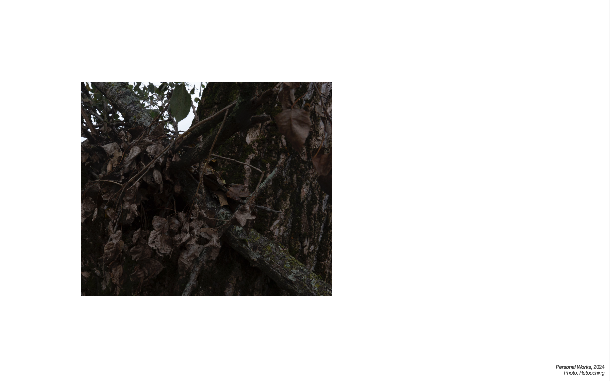 Screenshot 2026-03-17 at 11.09.16 AM.png