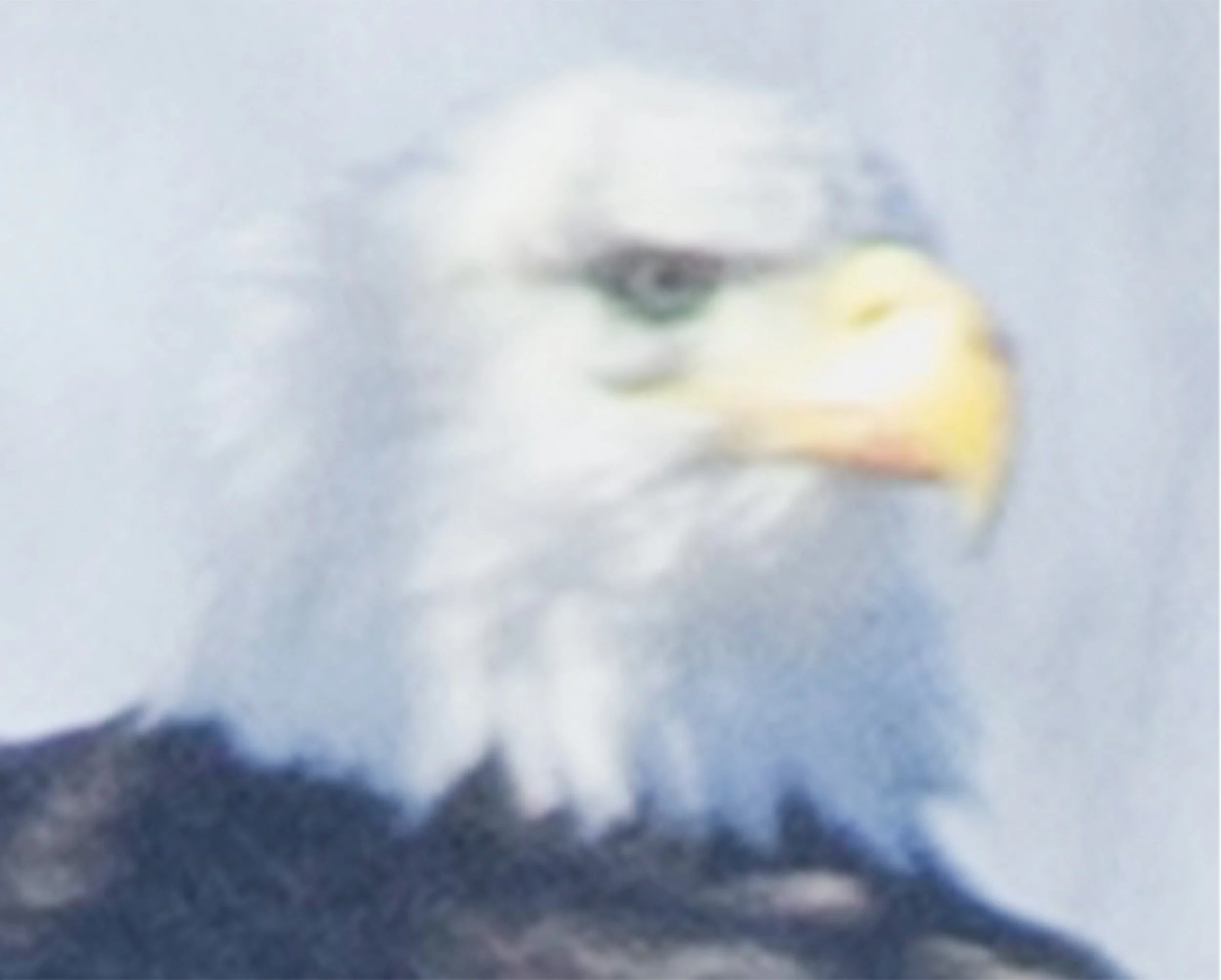 Eagle 2.jpg