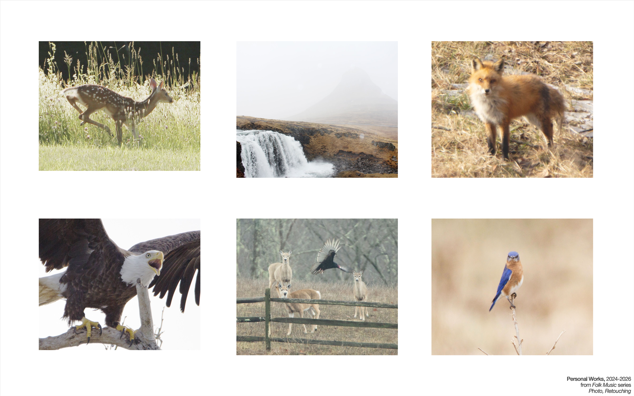 Screenshot 2026-03-20 at 8.37.16 PM.png