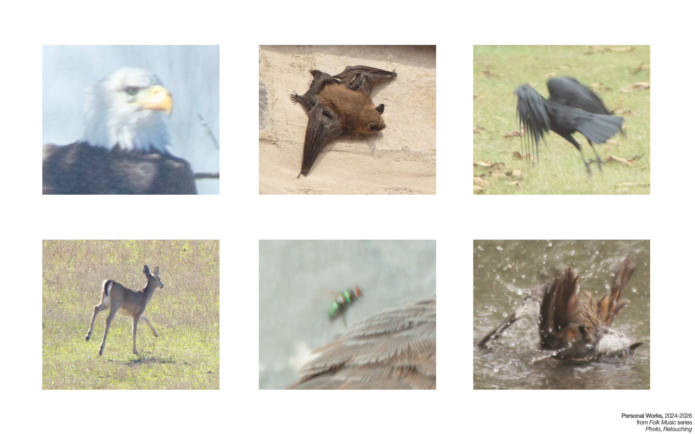 Screenshot 2026-03-17 at 11.09.06 AM.png