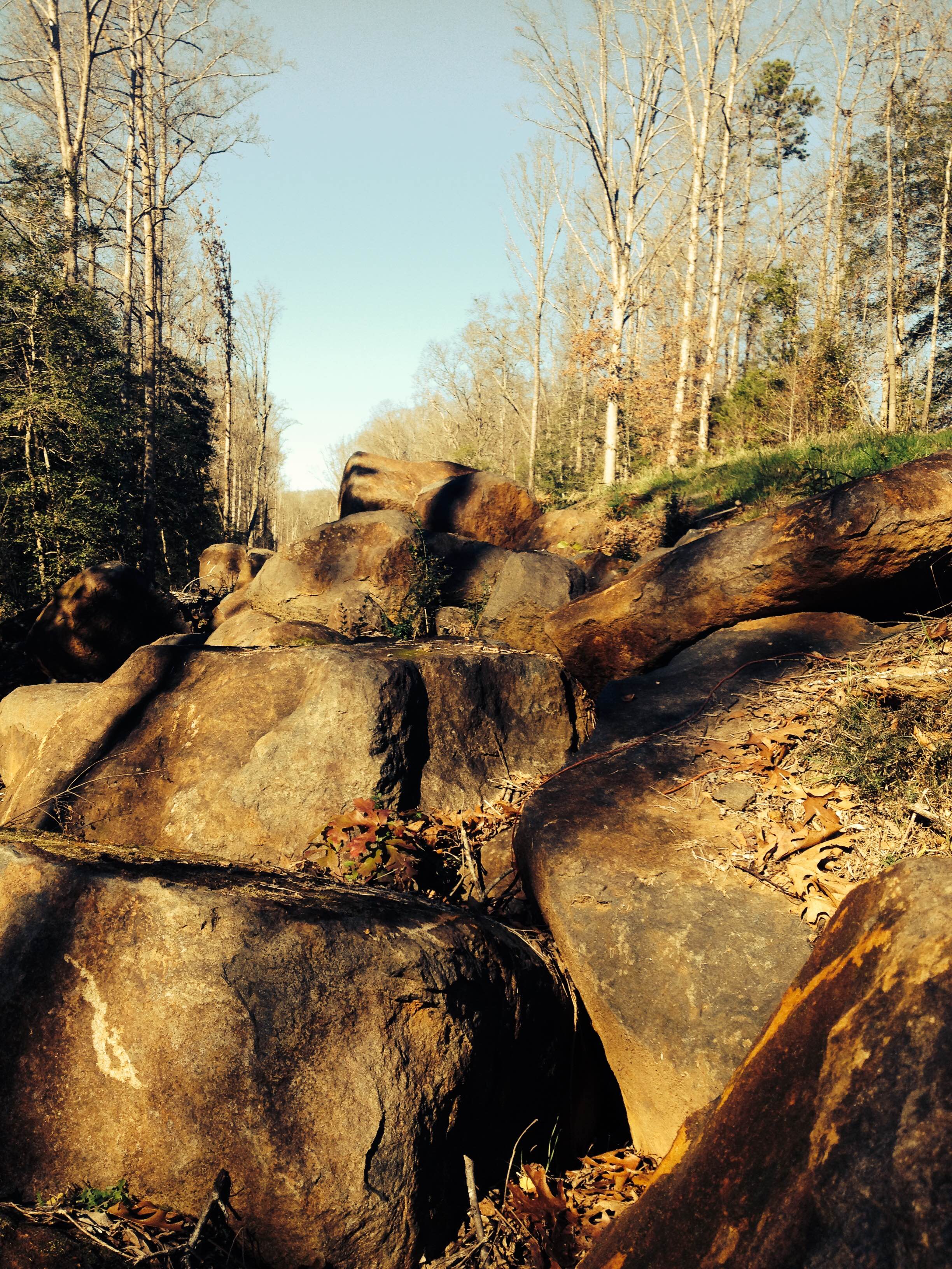 Queen's Tree does not "just" do tree work. When the pipeline operator discovered that these boulders were left in their R.O.W. from the pipe installation, they contracted Queen's Tree to remove the boulders.
