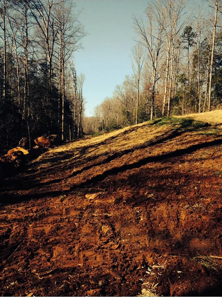 After careful excavation and some fill dirt hauled in, Queen's Tree Surgery was able to restore the R.O.W. to a condition that could be maintained by standard mowing methods. All work associated with this project was performed without the use of subcontractors.