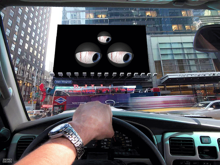 eyesdriversview.gif