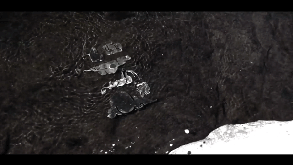 waterglyphsgigtest.gif
