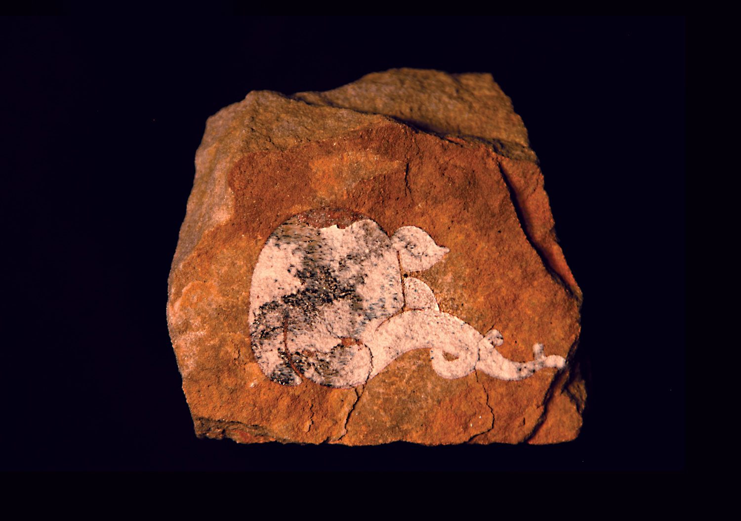 rockglyph.jpg