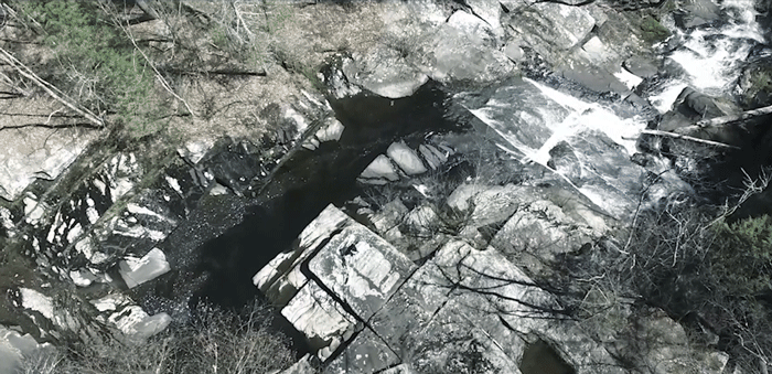 zaccollopyenvironmental1.gif