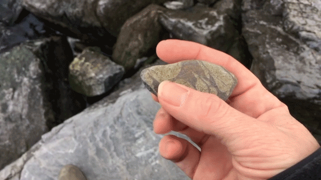 StoneThrow1.gif