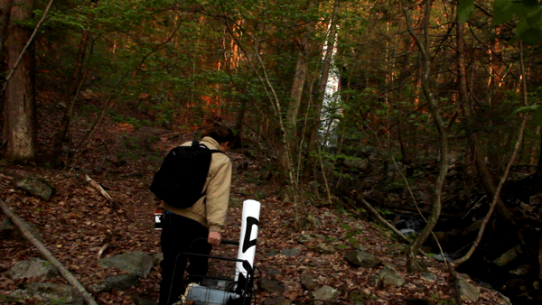 UpstateTrolleyWalk1.gif