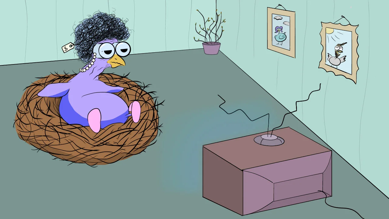 Conundrum Website Preview.jpg