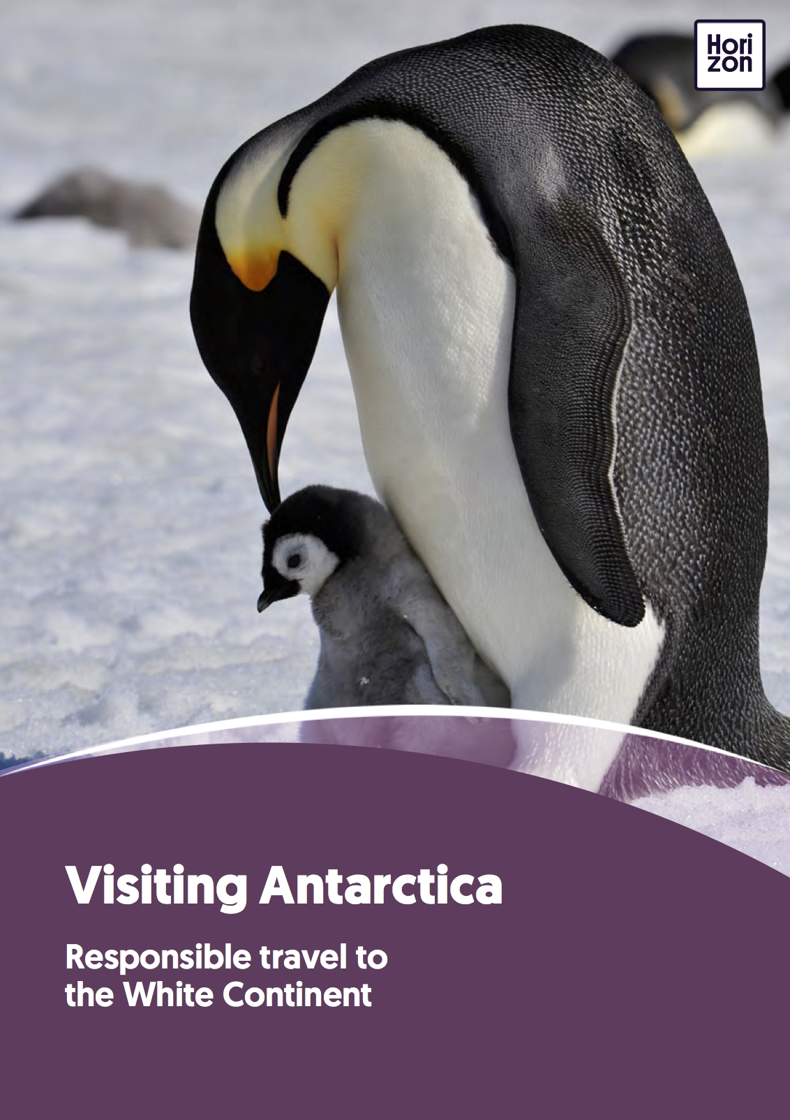 VisitingAntarctica2018 cover.jpg