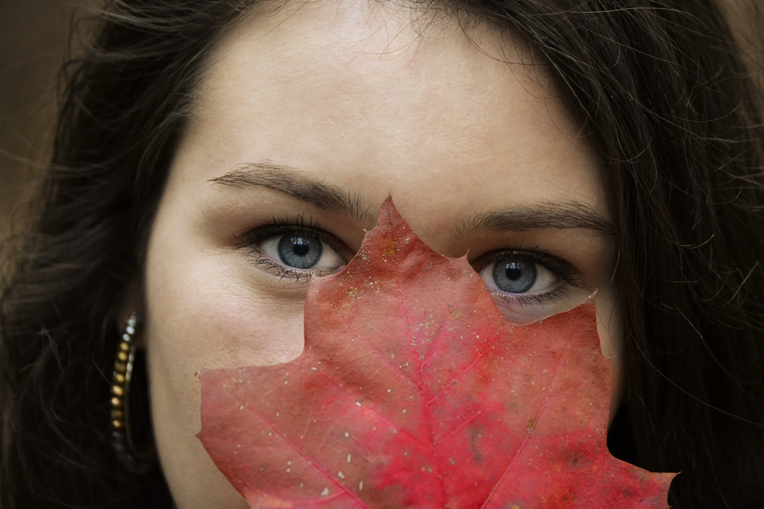 _DSC0087eyes.jpg