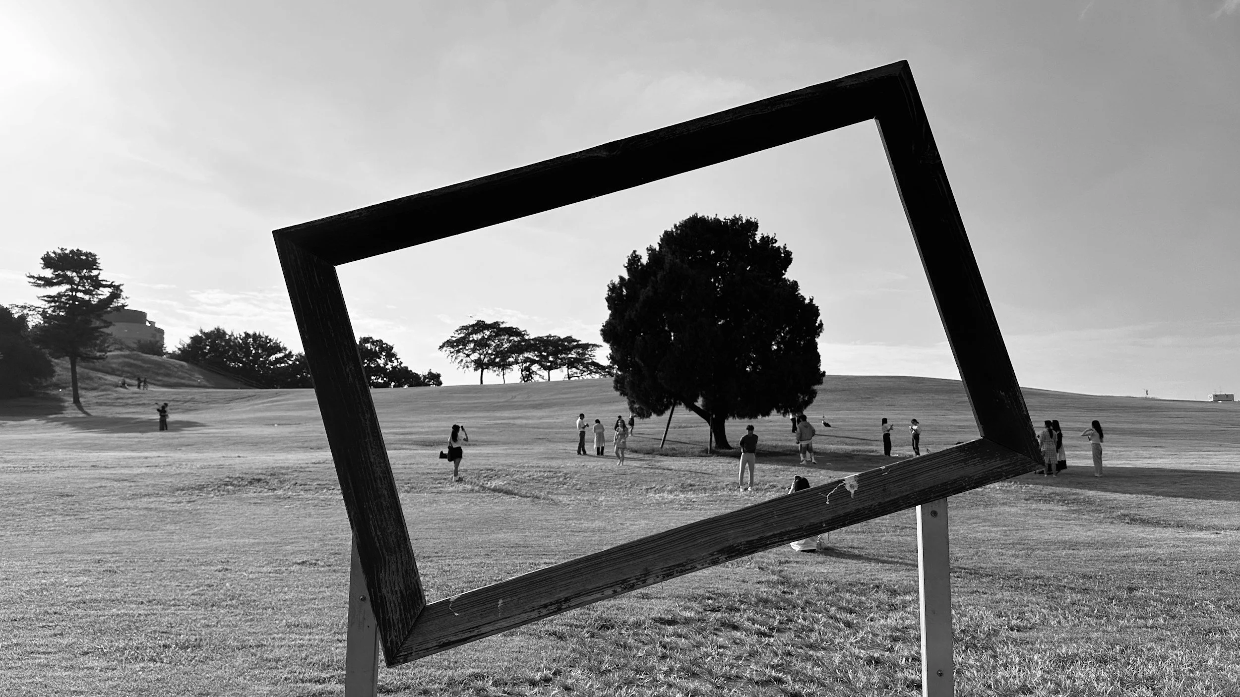 Black and White image: A rolling landscape of grass and occasional trees stretches out. A slanted black frame captures a scene in the middle, where people stand around a tree at random, many looking at it. Image by Abhishek Kumar
