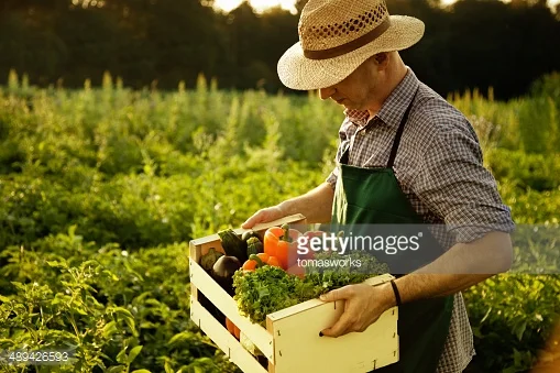 Photo by tomasworks/iStock / Getty Images