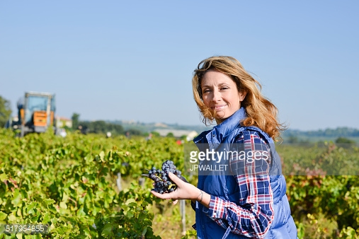 Photo by JPWALLET/iStock / Getty Images