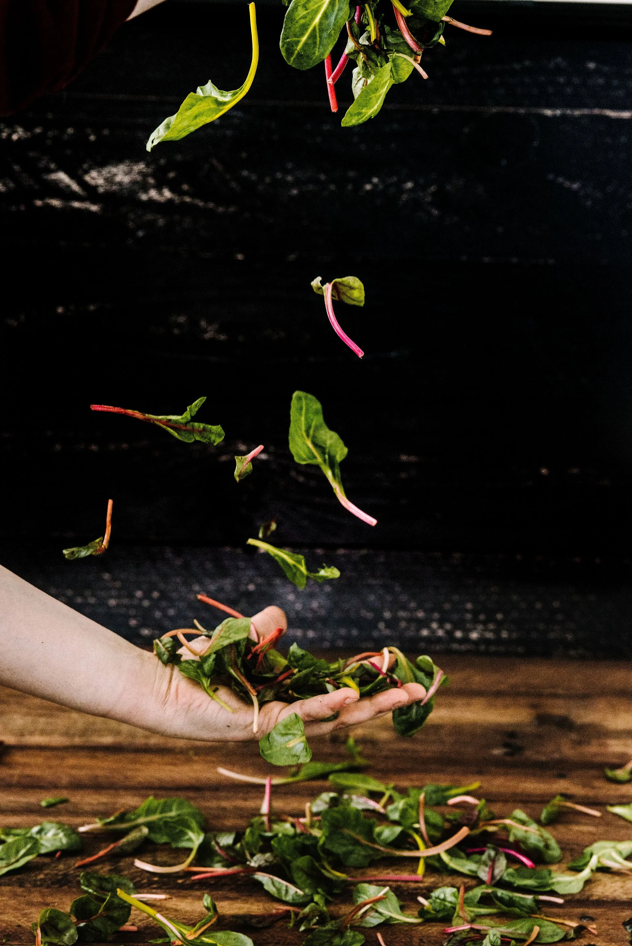 Copy of Random-Harvest-02-19-Veggies-Cases-Kale-TeamPortrait-Lawrence-Braun-0049.jpg