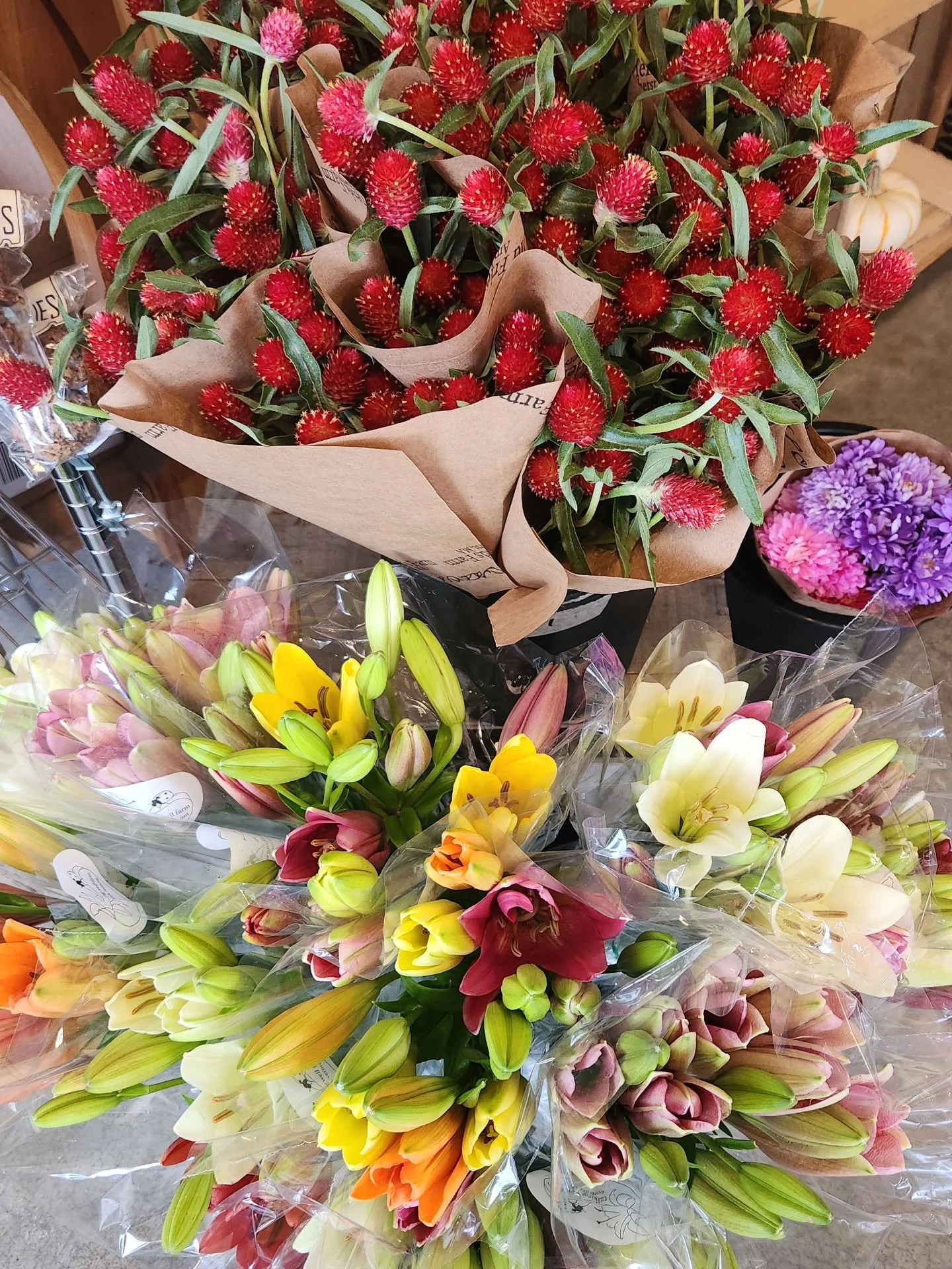 What?! Bountiful local flowers in late October? Thanks to @myersproduce @oldfriendsfarm and Talking Well Farm in VT, it's true! Get yourself some gomphrena or Asiatic Lilies this week ♡ 💐