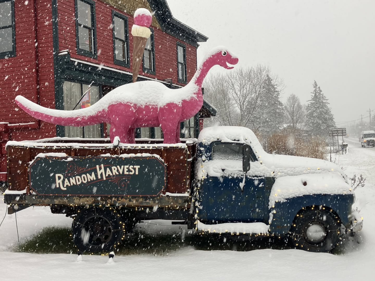 Dino's first snow 🥹❄️ @thatguymakesthings
