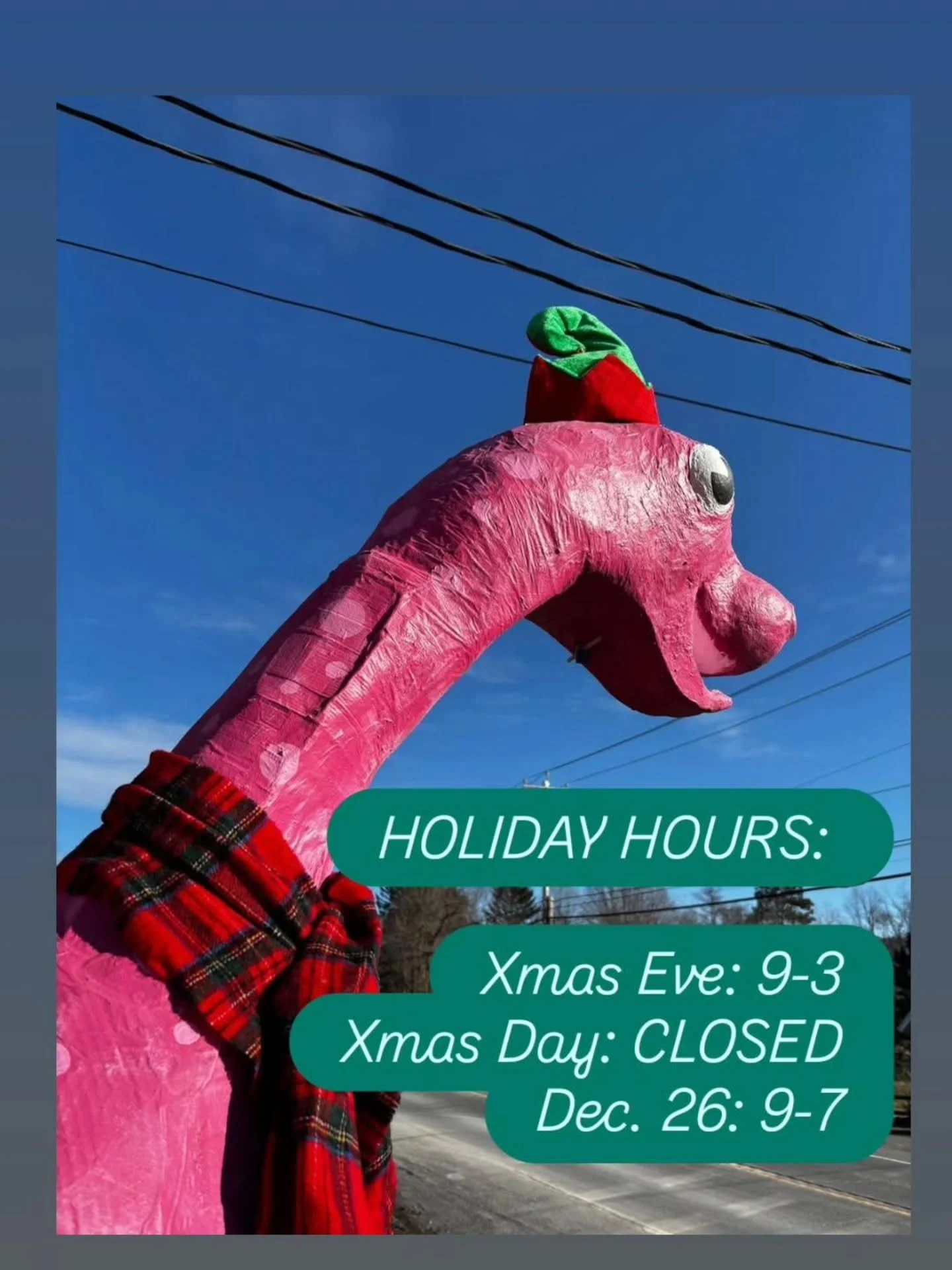 We're fully stocked on all the best things! Gifts, ingredients, treats, and holiday cheer for days! See you soon!