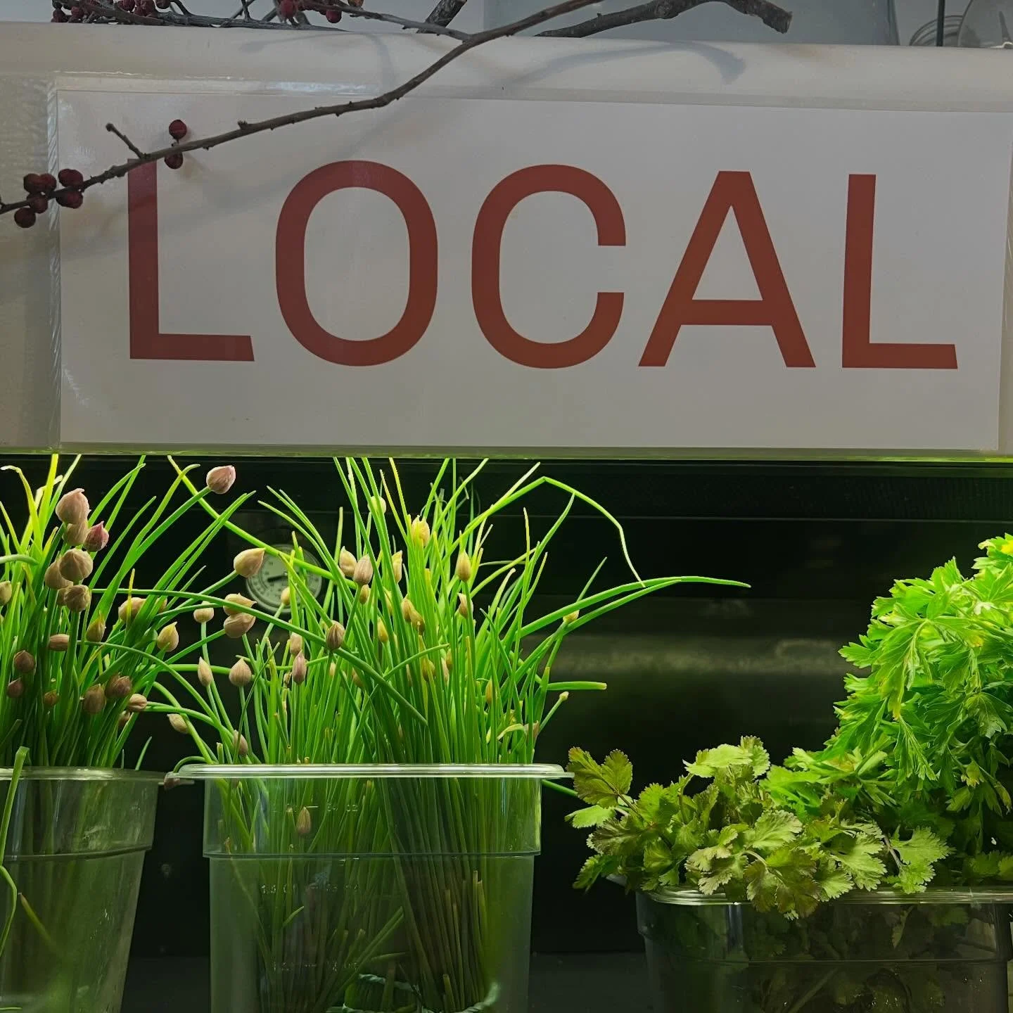So many locally grown / harvested things in the market for y&rsquo;all! Spinach, cilantro, chives, rhubarb, kale, arugula, wild-foraged mushrooms. Open 8-7. Pop in for a coffee or for lunch, and can take home some gorgeous produce, too.