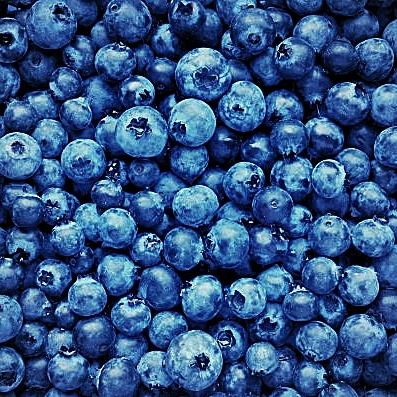 blueberries-2.jpg